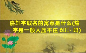 嘉轩字取名的寓意是什么(煊字是一般人压不住 🌷 吗)